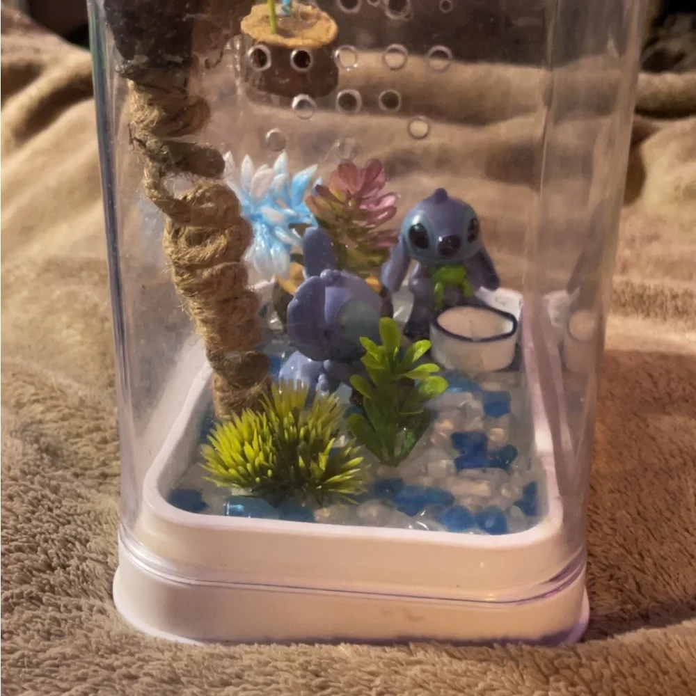Custom jumping spiders enclosure
